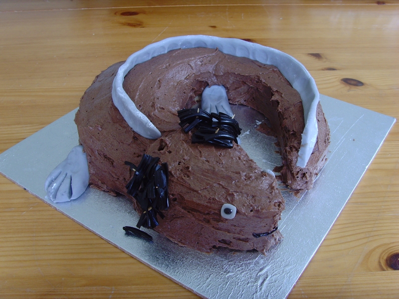 Axolotl birthday cake - Completed Projects - the Lettuce Craft Forums