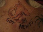 Newt tattoo-2a.JPG