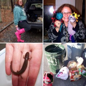 Herping In Virginia