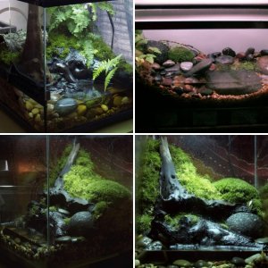 vivariums