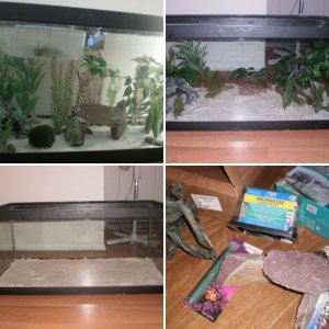 Princess Andreah's Tank