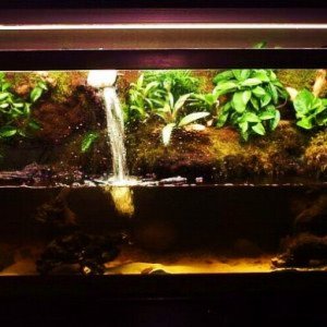 main tank