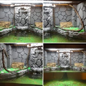 Ray's vivariums