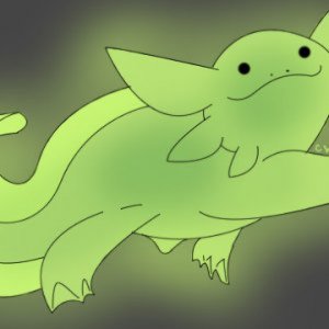 Axolotl drawings