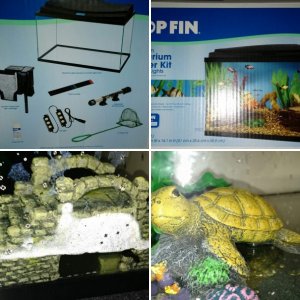 My New Aquarium/Supplies