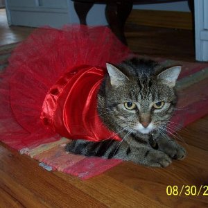 Lily as Ballerina