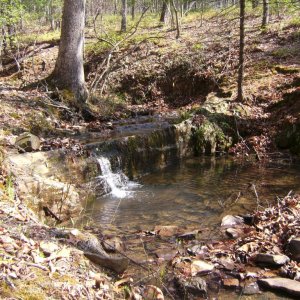 Psuedotriton ruber nitidus habitat.