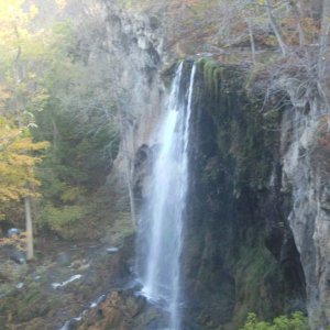 This is about a 150 foot waterfall. Looks good for salamanders at the bottom in the spray zone right? Wrong, this water stays at around 75F year round