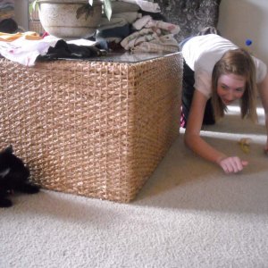 My sister & Harley playing around the coffe table.