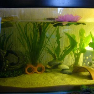 KANES TANK