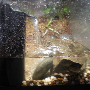 Water area of the tank.