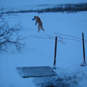 Life is a game of Frisbee