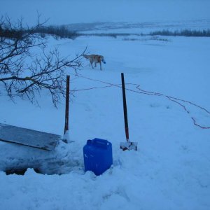 the river in January