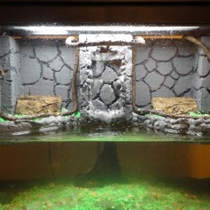 Vivarium front view