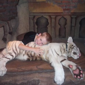 jordy with a white tiger cub