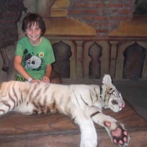 dylan with the white tiger cub