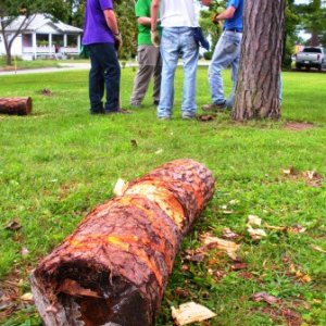 Teaching volunteers how to use an axe