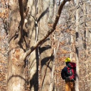 Ryan, contemplating descending the ravine or not