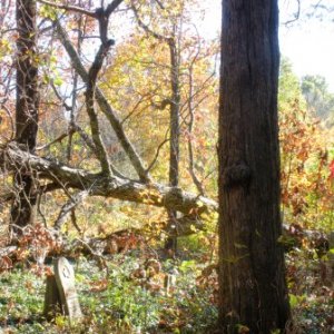 Unnamed Cemetery near Panther's Den Wilderness