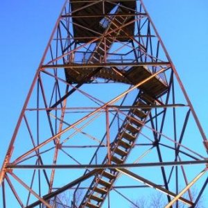 Trigg Tower, an old fire spotting tower