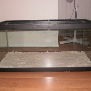 Sand in New Tank