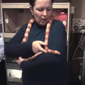 Rita holding a 5foot Jungle Corn Snake here is the