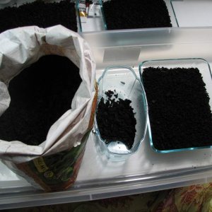 lay down a layer (1-1.5") of organic potting soil. I sort it manually to remove the largest pieces and twigs