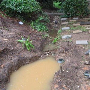 during heavy run there is a shocking amount of water flowing through here. I want it to run over the gravel then through some plants in the trench and