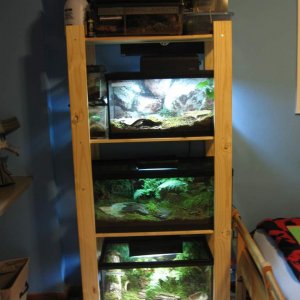 display salamander rack