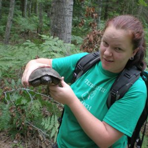 Wood turtle again. Ignore the 'field clothes', it was a long week.