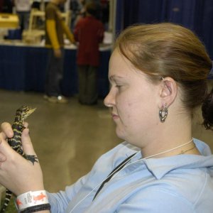 Aww mom! Can I have a baby alligator?! It's only $40! (This guy was also selling sulcata tortoises).