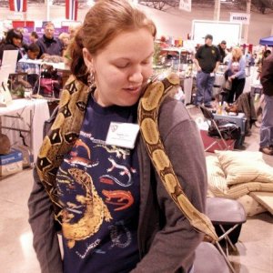 Miss Iowa, redtailed boa.