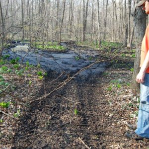 Some yahoos thought it would be 'fun' to take their ATVs through my wetland. The resulting damage is in excess of $15,000.