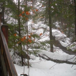 Stairs leading up from the falls