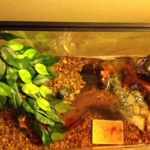 Top view of the tank