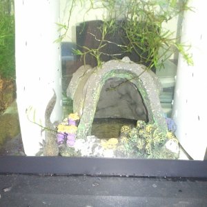 All three of my little axies :D