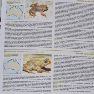 Threatened Amphibians of the World by the Global Amphibian Assessment (GAA)