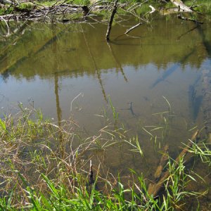 habitat site2