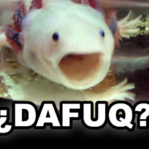 Dafuq-lotl :)
Just HAD to do this.
Picture is not mine, just edited it.