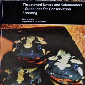 Threatened Newts & Salamanders - Guidelines for Conservation Breeding (Front Cover)