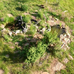 Dad's backyard ponds in Colorado