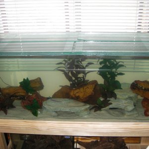 Eomer, Eowyn and Leia's Tank