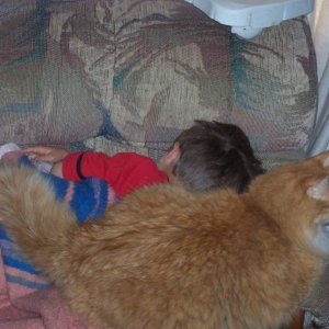 37lb cat sleeping with 6 yr old child