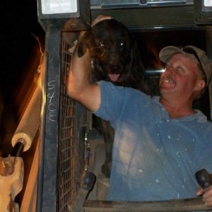 our black lab JR goin' for a ride w daddy