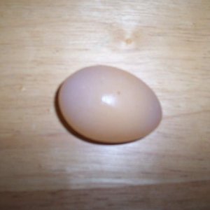 Shell-less duck egg