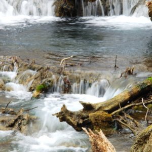 creek (I'm sure it has a name) from a warm spring