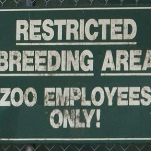 ZooEmployeeBreeding