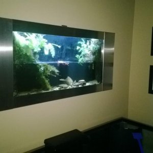 Wall Mounted Trillium Biotope