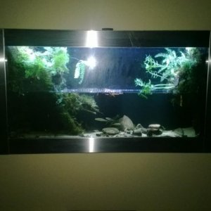 Wall Mounted Trillium Biotope.jpg1