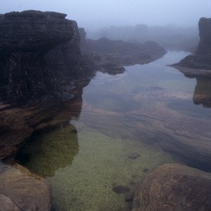 Habitat of Oreophrynella quelchii. Most of the animals we found at the banks of such ponds with crystal clear water.